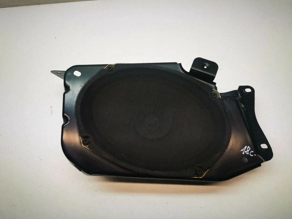 Rear door speaker