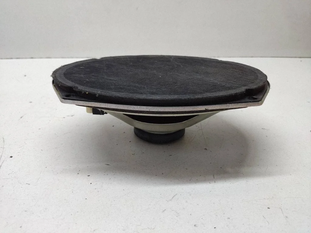 Rear door speaker – Chrysler Grand Voyager V (2007-2015)