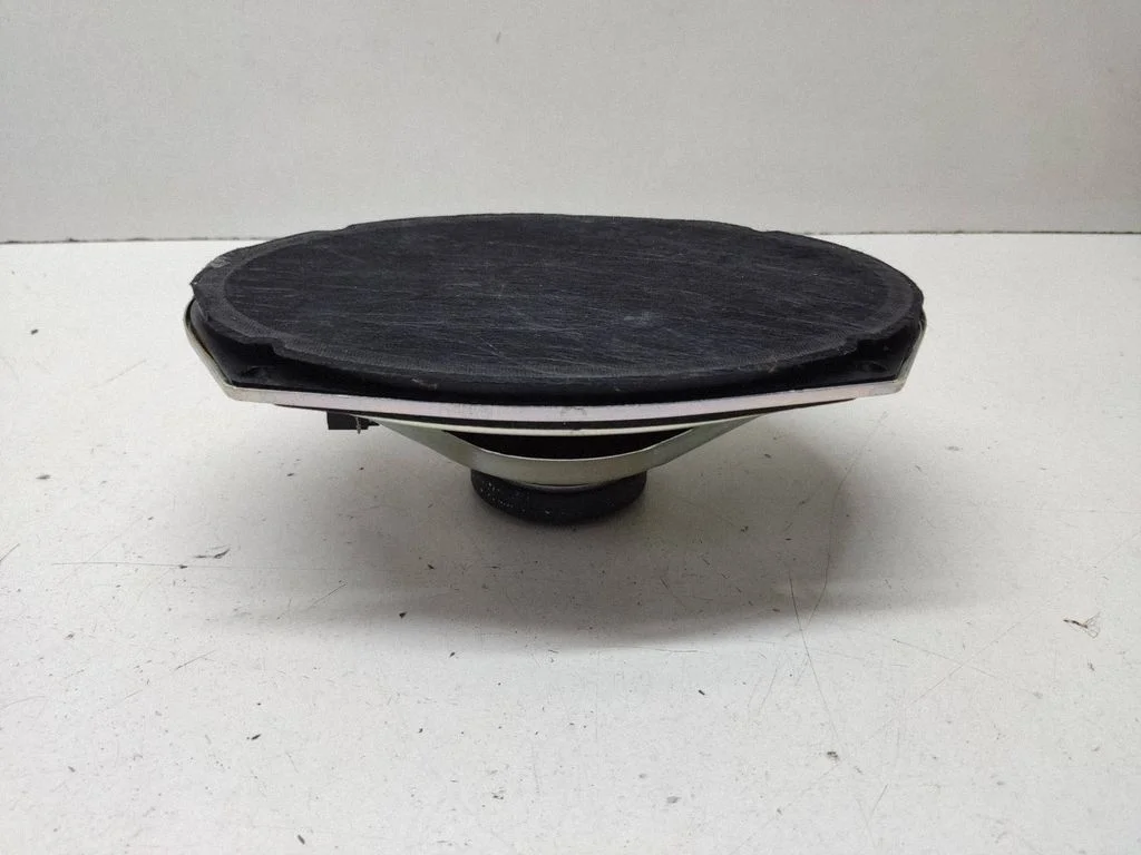 Rear door speaker – Chrysler Grand Voyager V (2007-2015)
