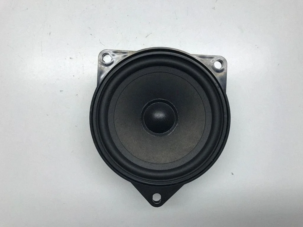 Rear door speaker 6923174