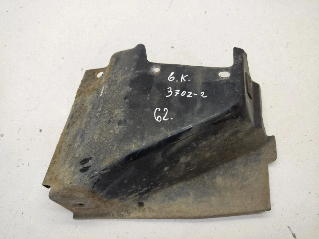 Other body part – rear left