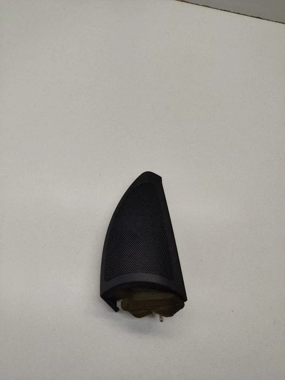Front door high frequency speaker A2517250298