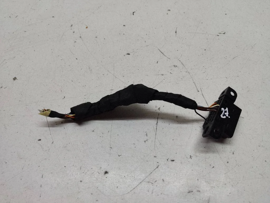 Other wiring loom 6954580