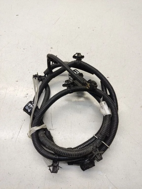 Other wiring loom 918402T020