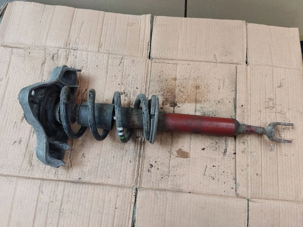 Front shock absorber with coil spring 3E0413031DG