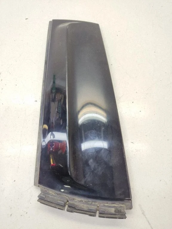Rear door glass trim molding 9801547