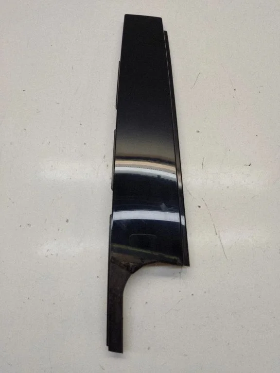 Rear door glass trim molding 9800620