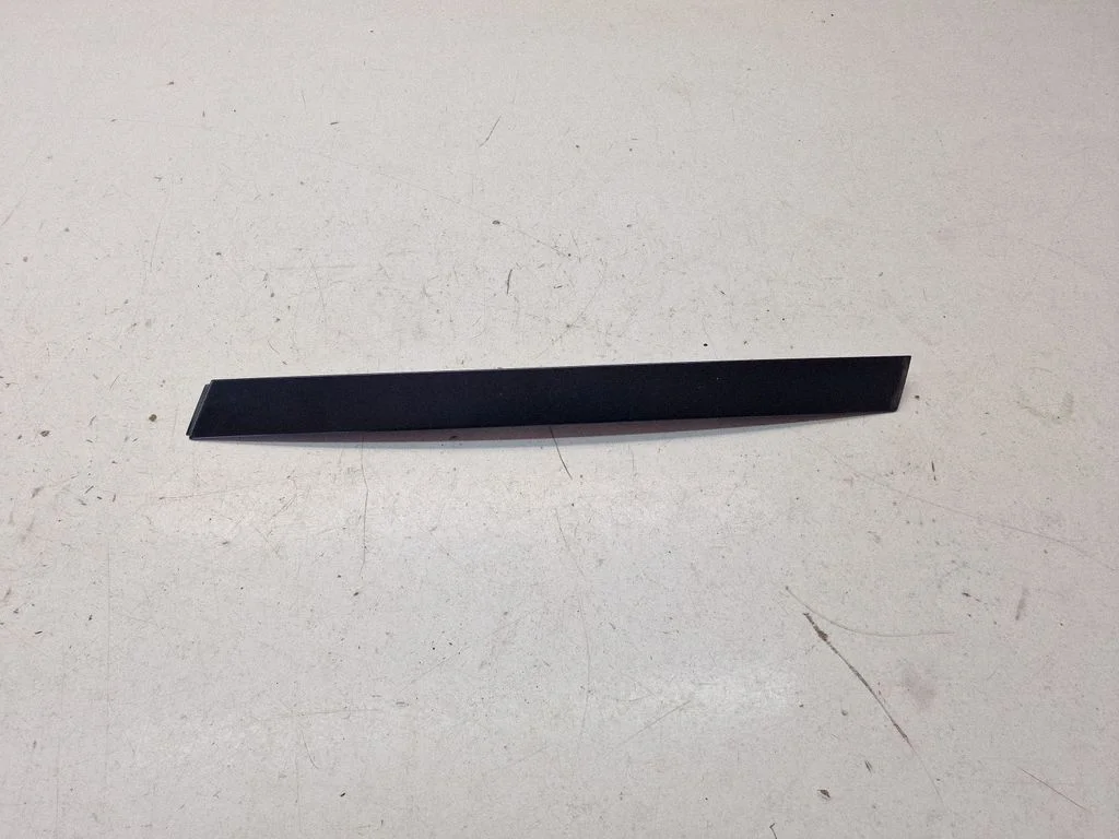 Rear door glass trim molding – rear left