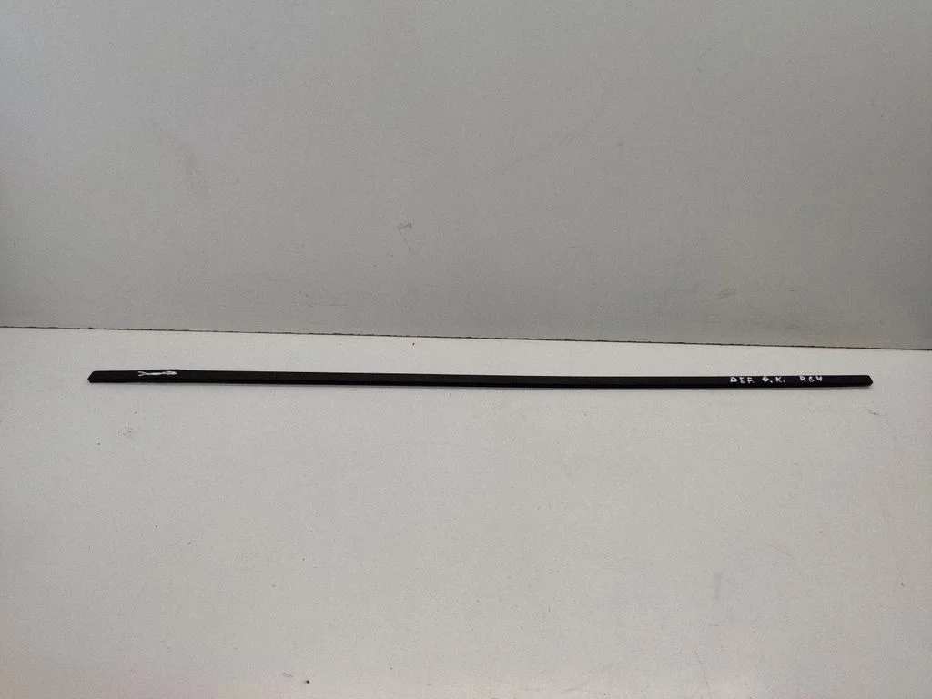 Rear door glass trim molding – rear left