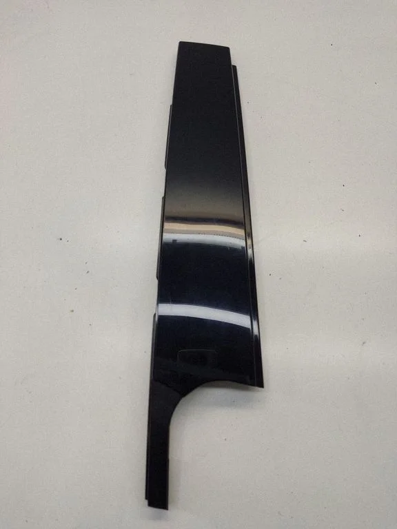 Rear door glass trim molding 9800620