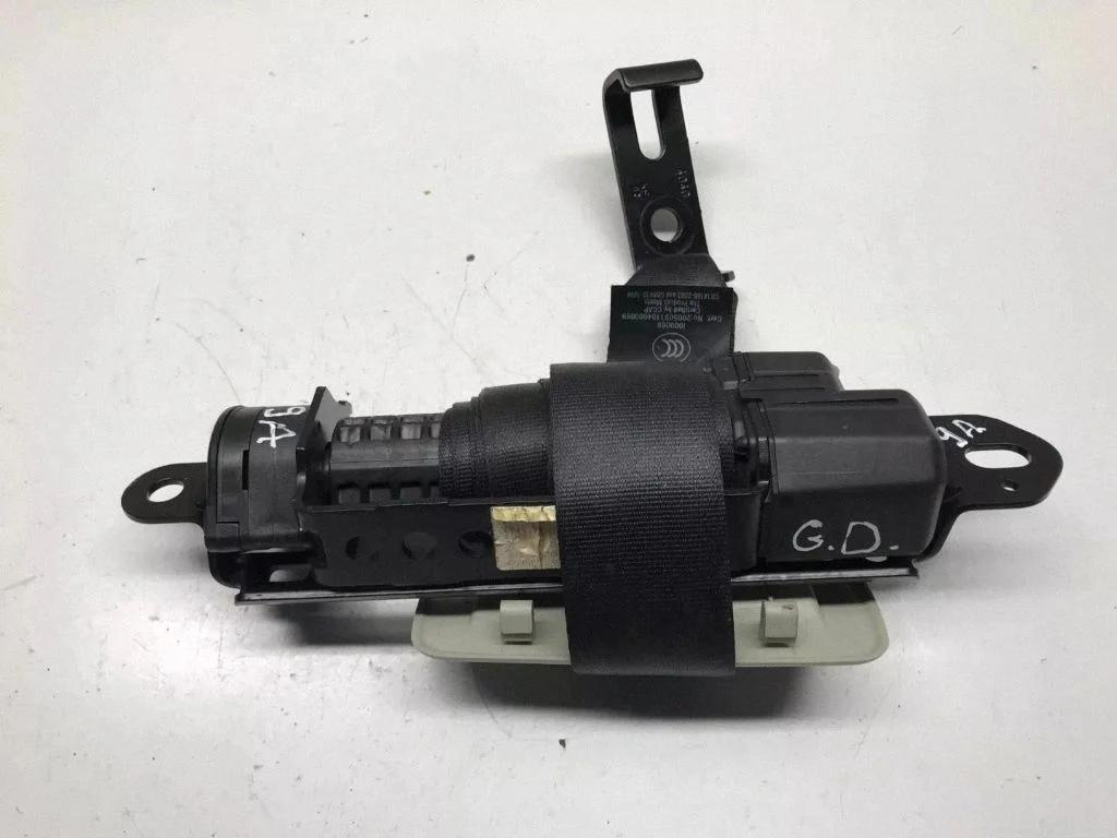 Rear seatbelt 12756313