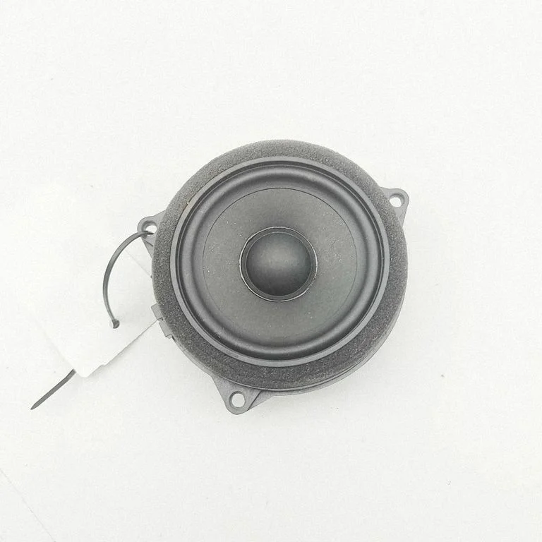 Tagaukse kõlar(id) 6809629