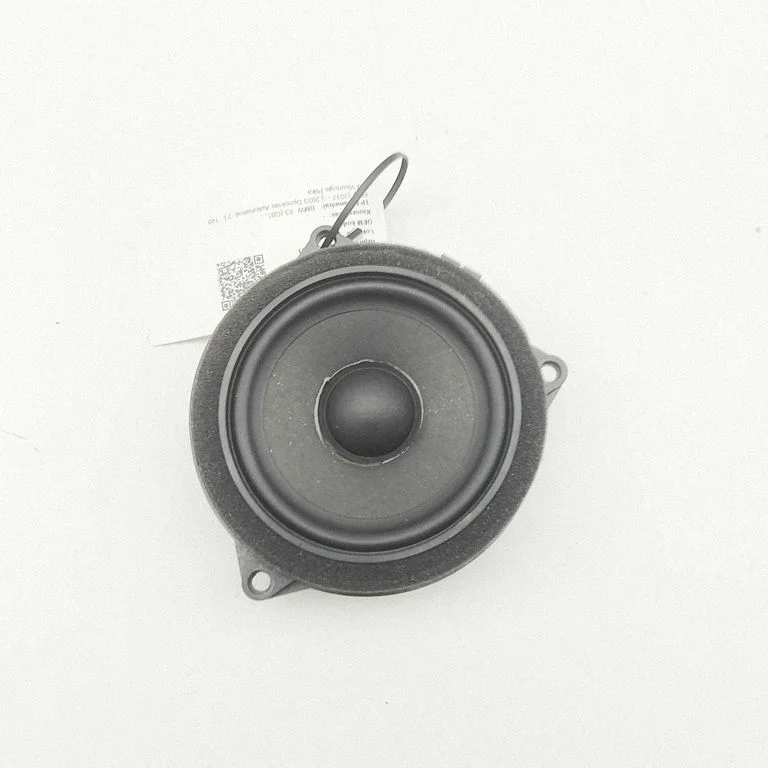 Tagaukse kõlar(id) 6809629