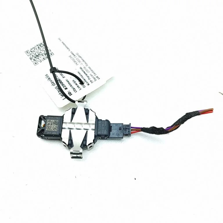 Lietus sensors – Porsche Taycan 9J1 (2019-)