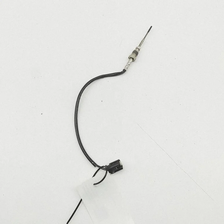 Exhaust gas temperature sensor – BMW X3 G01 (2018-2024)