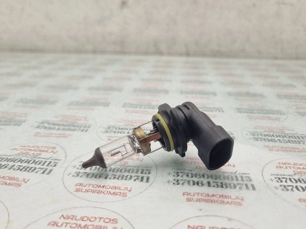 Udutule pirn – Volkswagen Passat B6 (2005-2010)