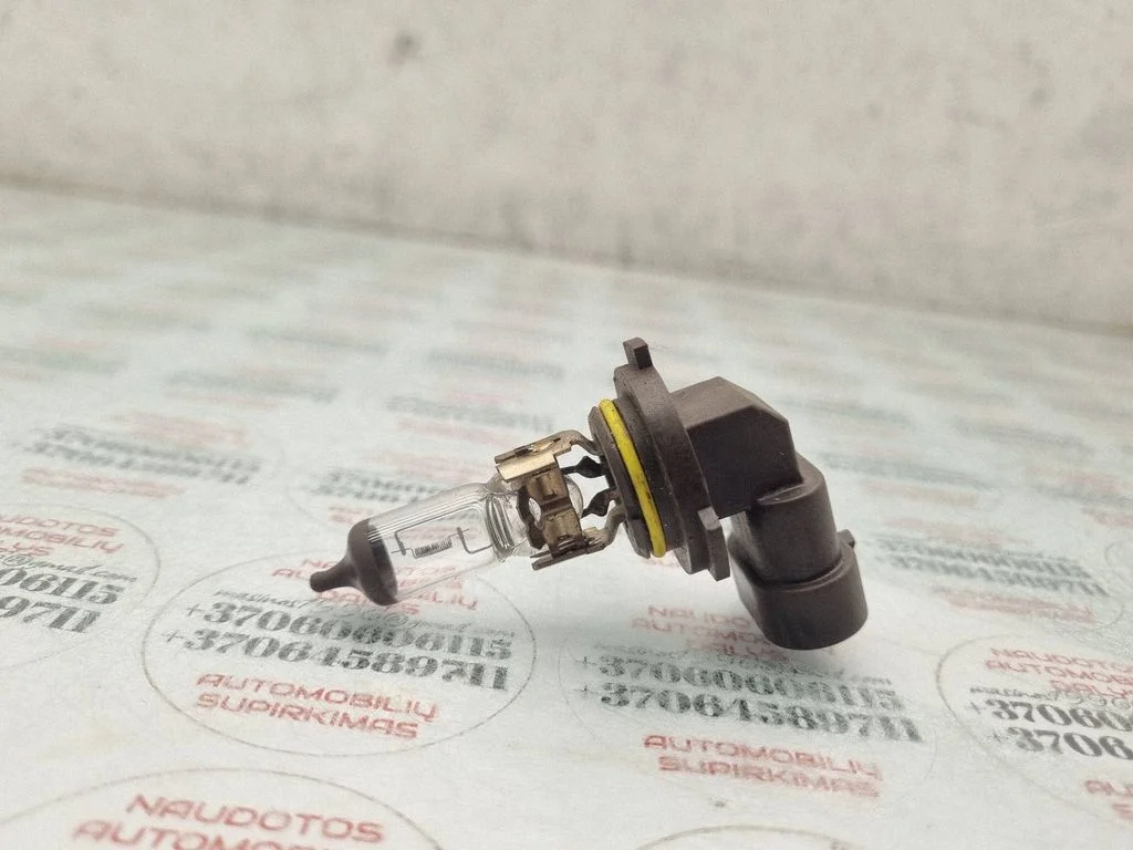 Udutule pirn – Volkswagen Passat B6 (2005-2010)