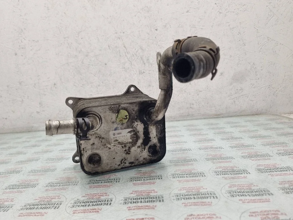 Mootoriõli radiaator 079117015A