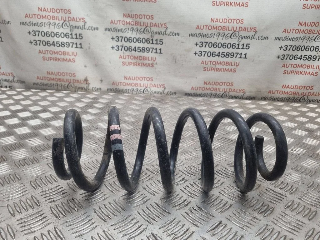 Front coil spring