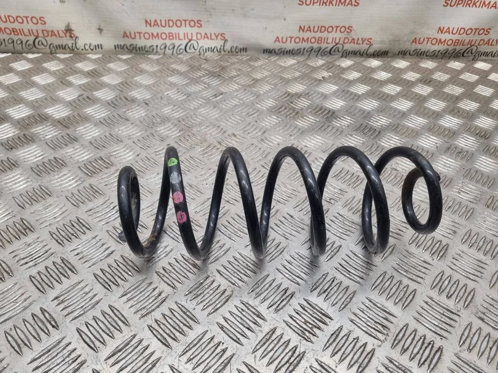 Rear coil spring