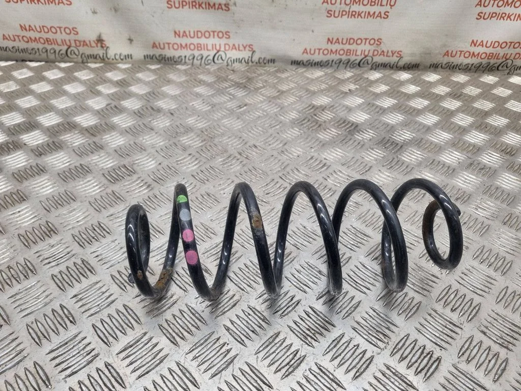 Rear coil spring