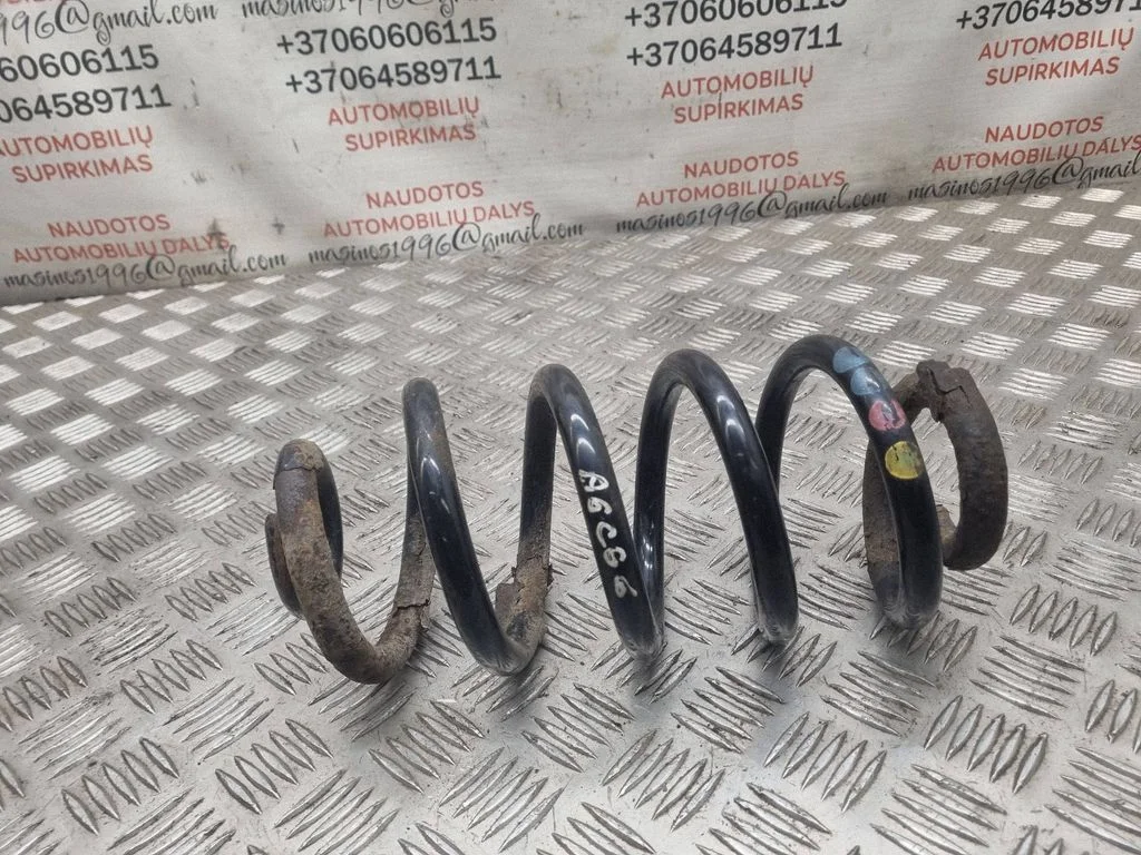Rear coil spring
