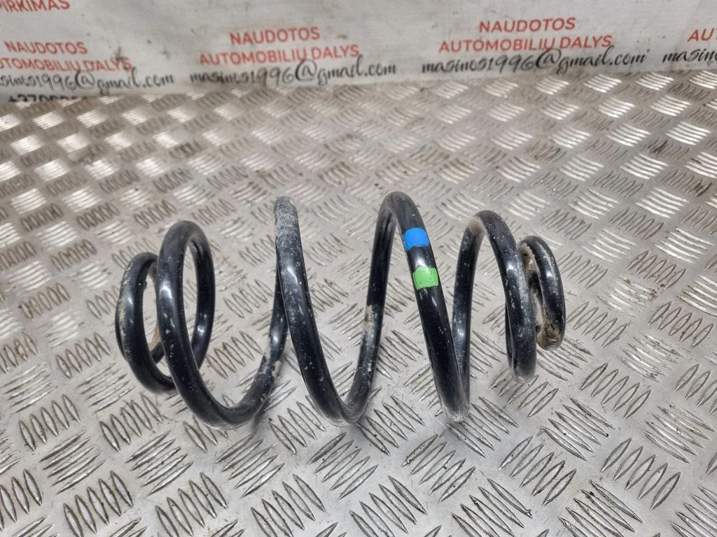 Rear coil spring