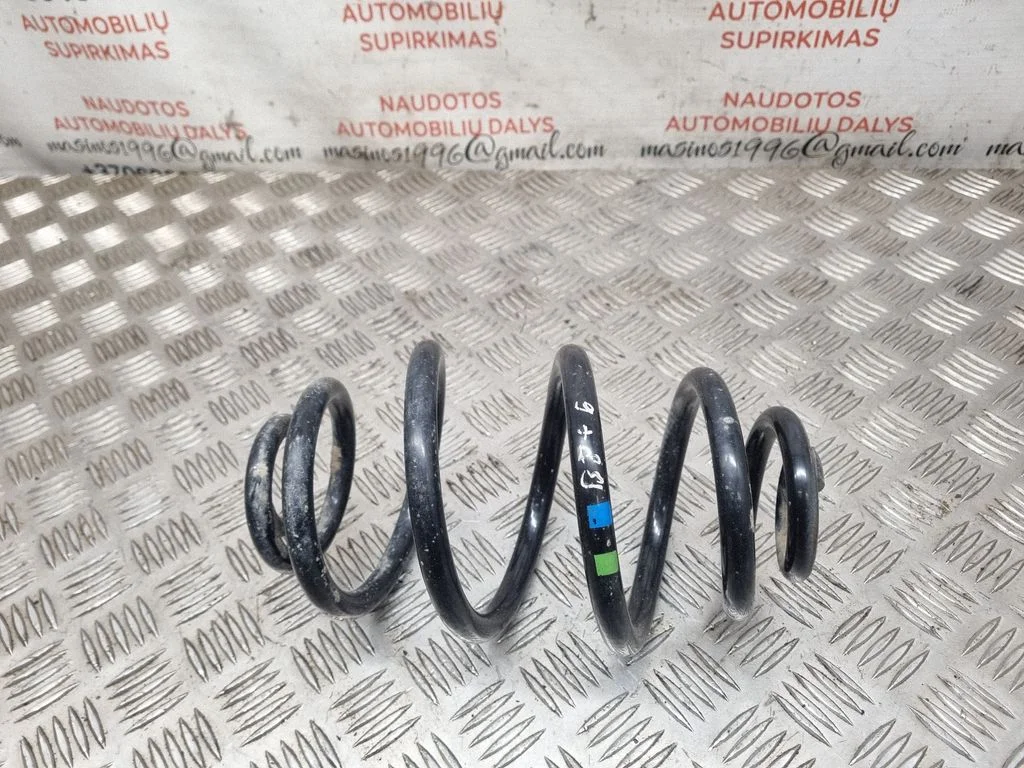 Rear coil spring