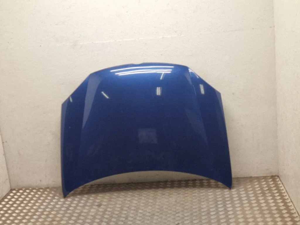 Engine bonnet/hood