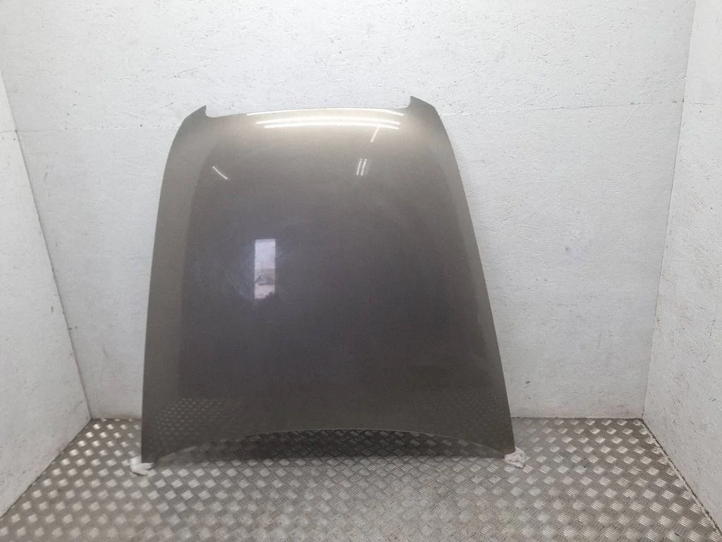 Engine bonnet/hood