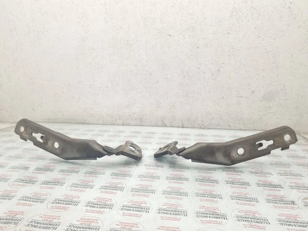 Engine bonnet/hood hinges – front