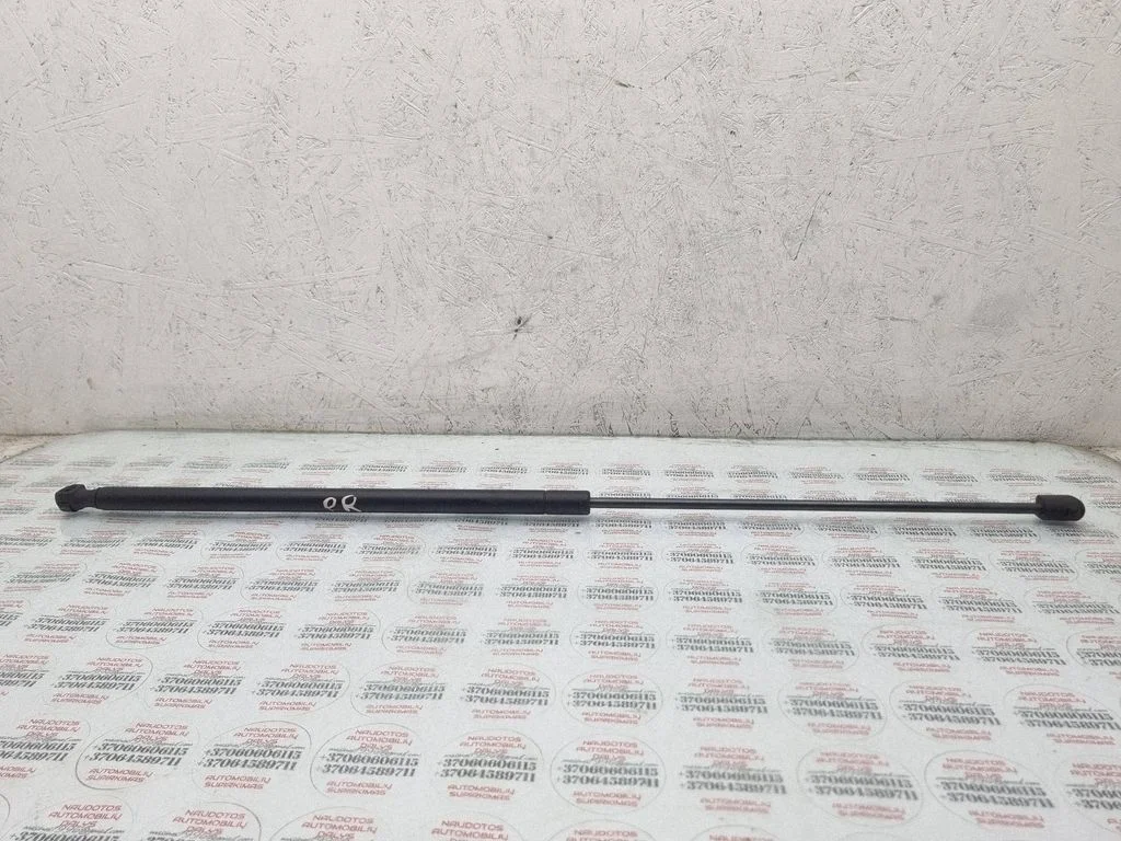 Front bonnet/hood damper/strut