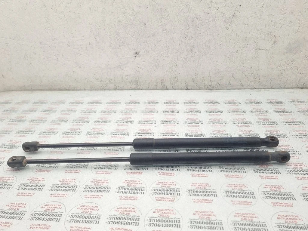 Tailgate/trunk strut/damper 3C9827550C