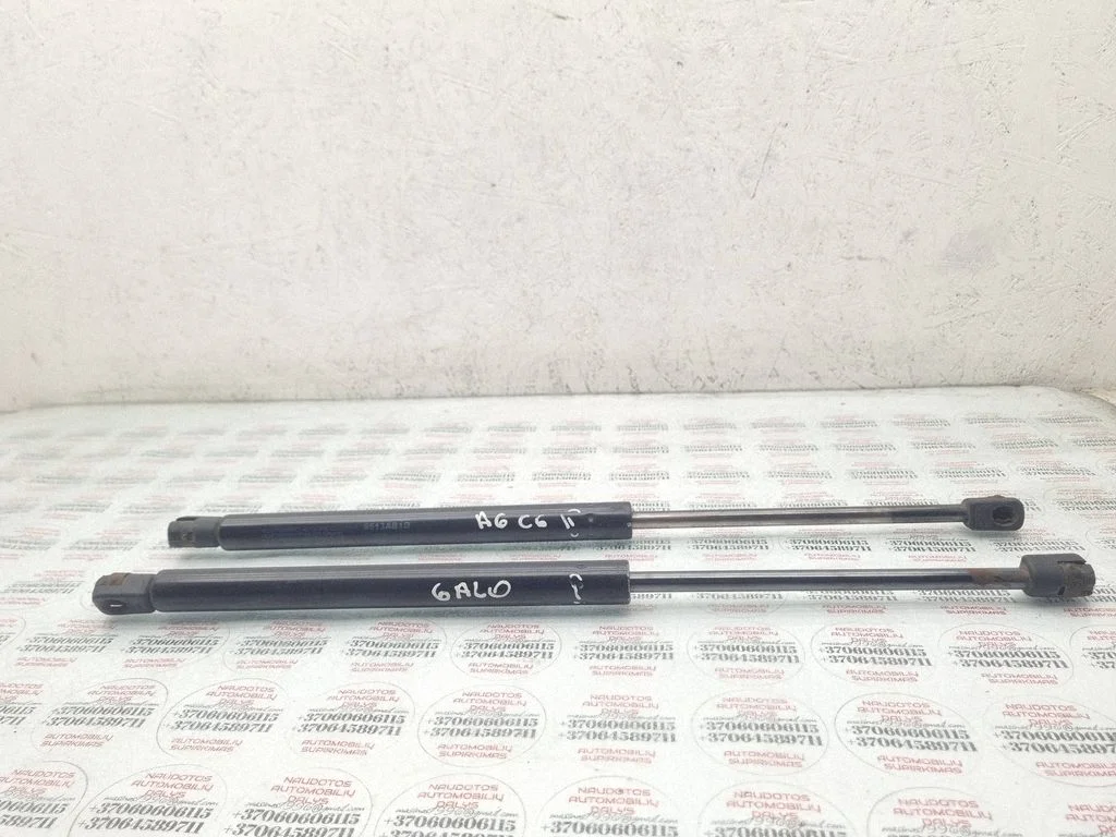 Tailgate/trunk strut/damper 9513AB1D