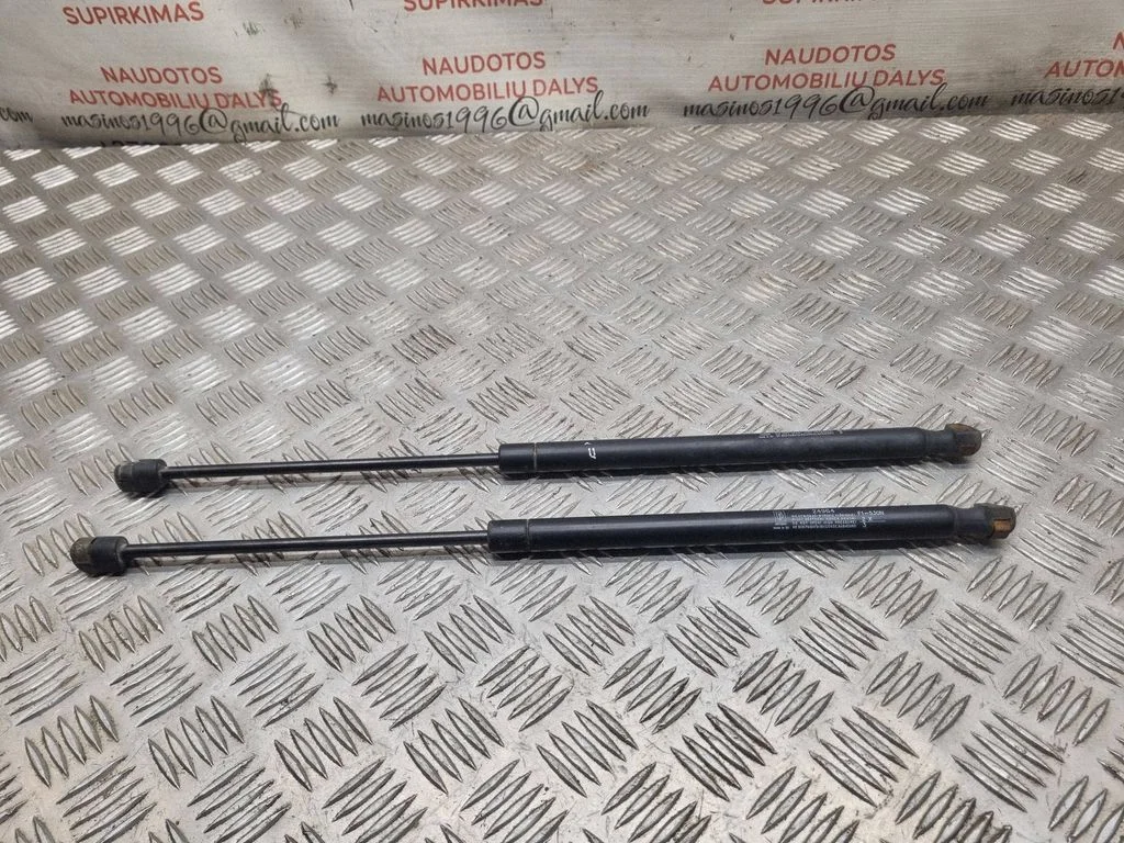 Tagaluugi gaasiamortisaator 24964