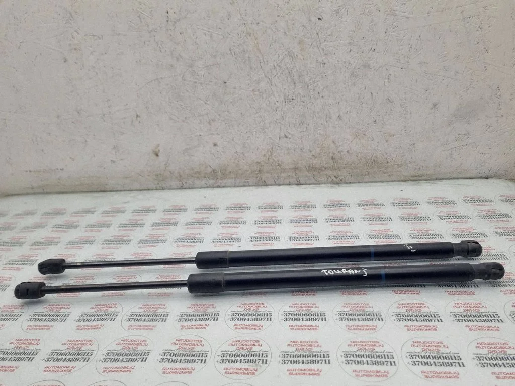 Tagaluugi gaasiamortisaator 1T0827550E