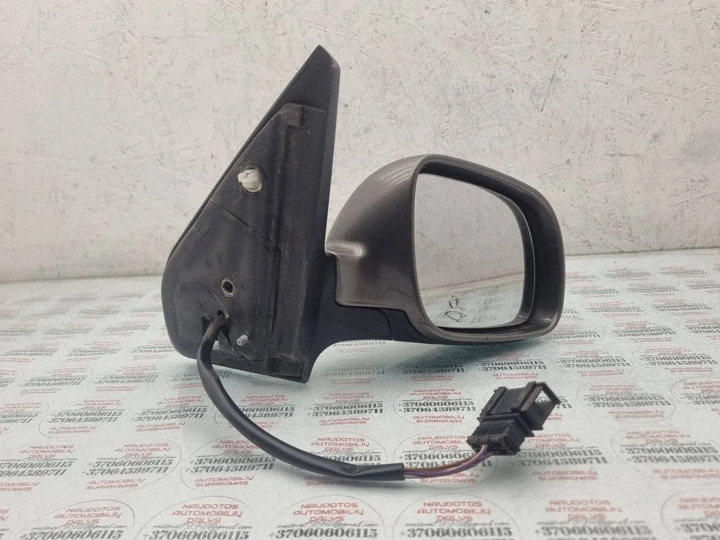 Esiukse elektriline välispeegel E1010515