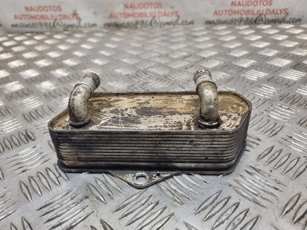 Oil filter mounting bracket