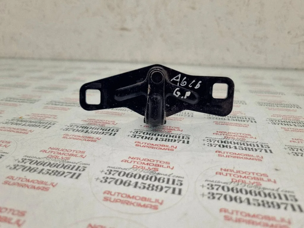 Loading door lock loop/hook striker 4F5827507B