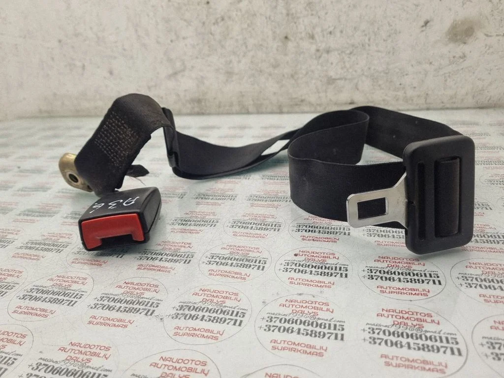 Pas bezpieczeństwa środkowy (tylny) 560290902A