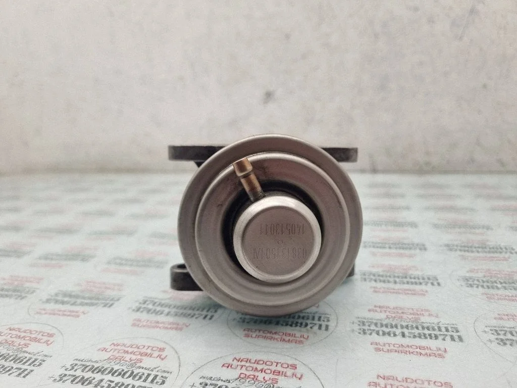 EGR-klapp 038131501AF