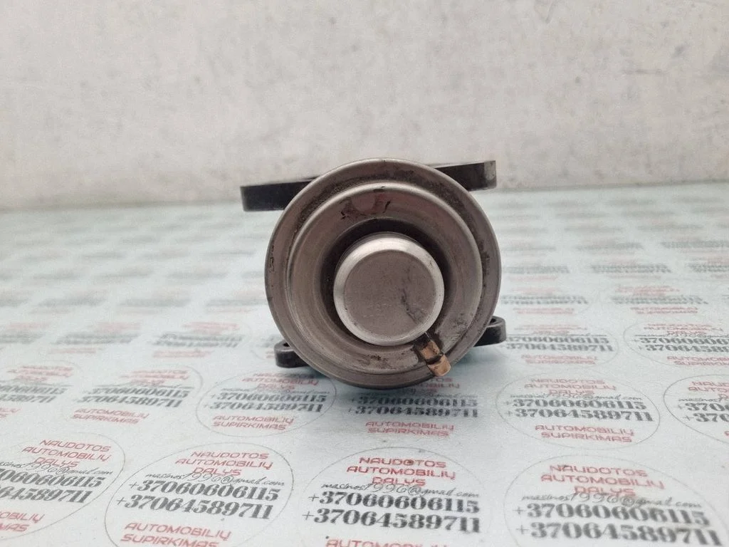 EGR vārsts 038131501AN