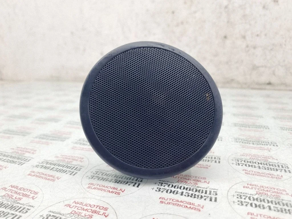 Panel speaker
