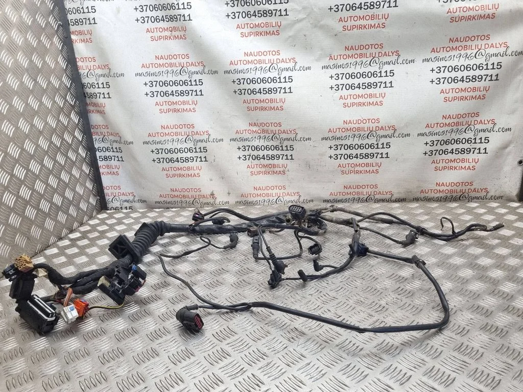 Engine installation wiring loom 8D1971072PB