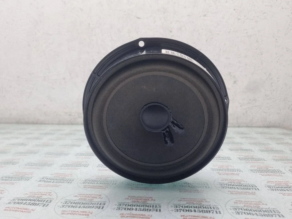 Głośnik w drzwiach tylnych – Volkswagen Passat B6 (2005-2010)