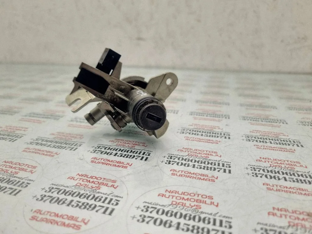 Tailgate exterior lock – Audi A6 Allroad C6 (2006-2011)