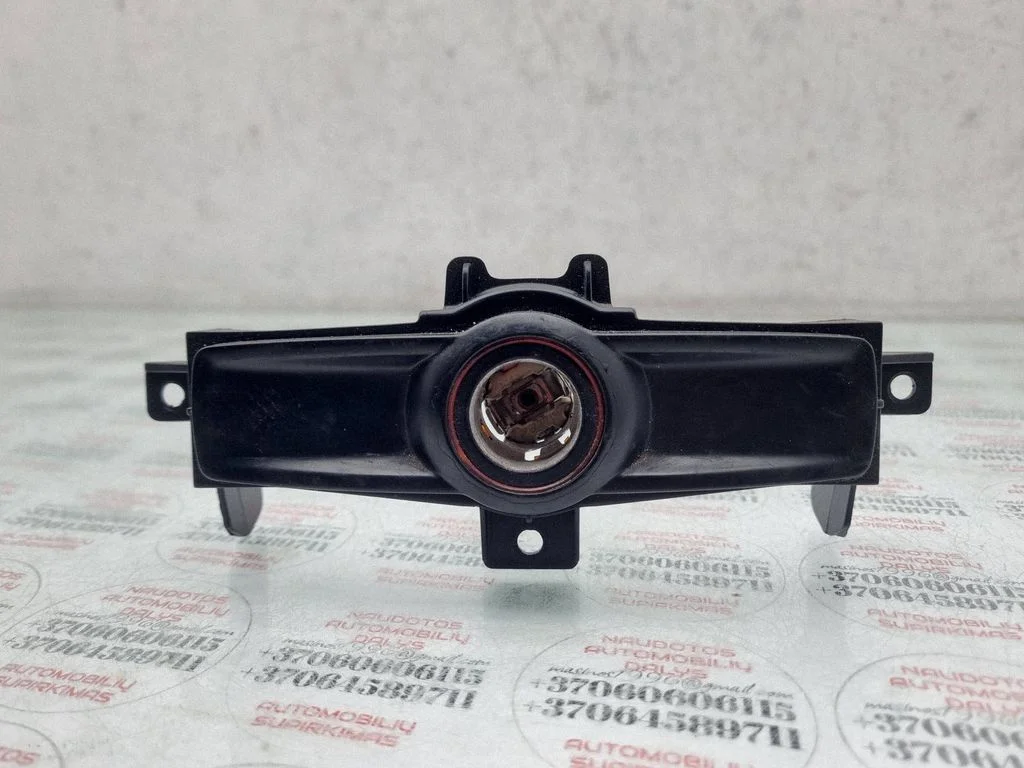 12 V pesa (taga) – Audi A6 Allroad C6 (2006-2011)