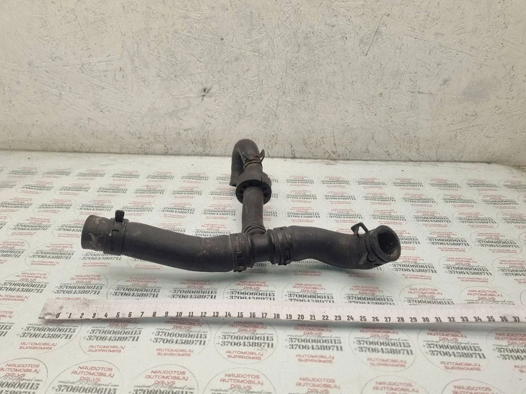 Engine coolant pipe/hose 252516