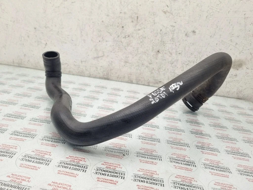 Engine coolant pipe/hose 3B012291C