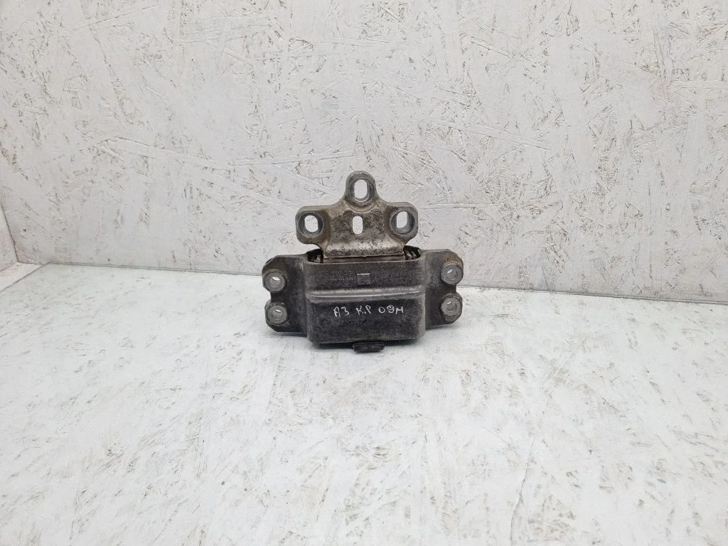 Mootoripadi 1K0199555